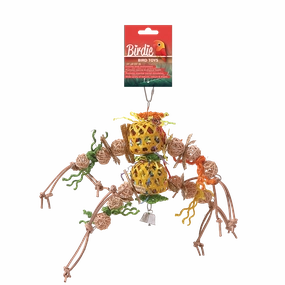 Birdie - Foraging Pineapple Bird Toy (Large)