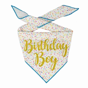 Birthday Boy Bandana