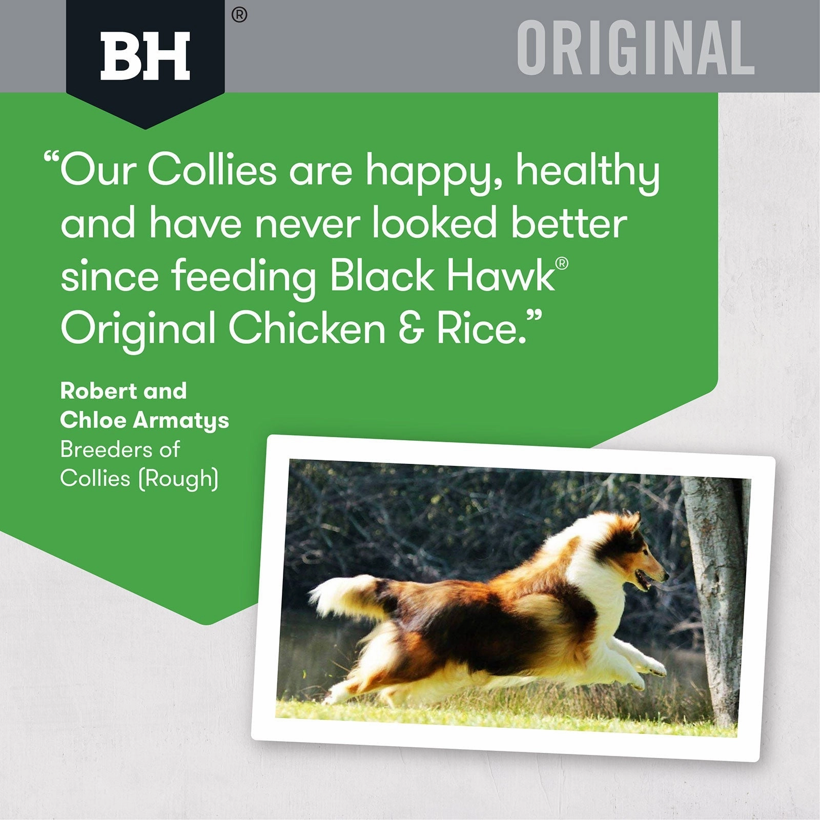 Black Hawk Dog Food Adult Chicken & Rice