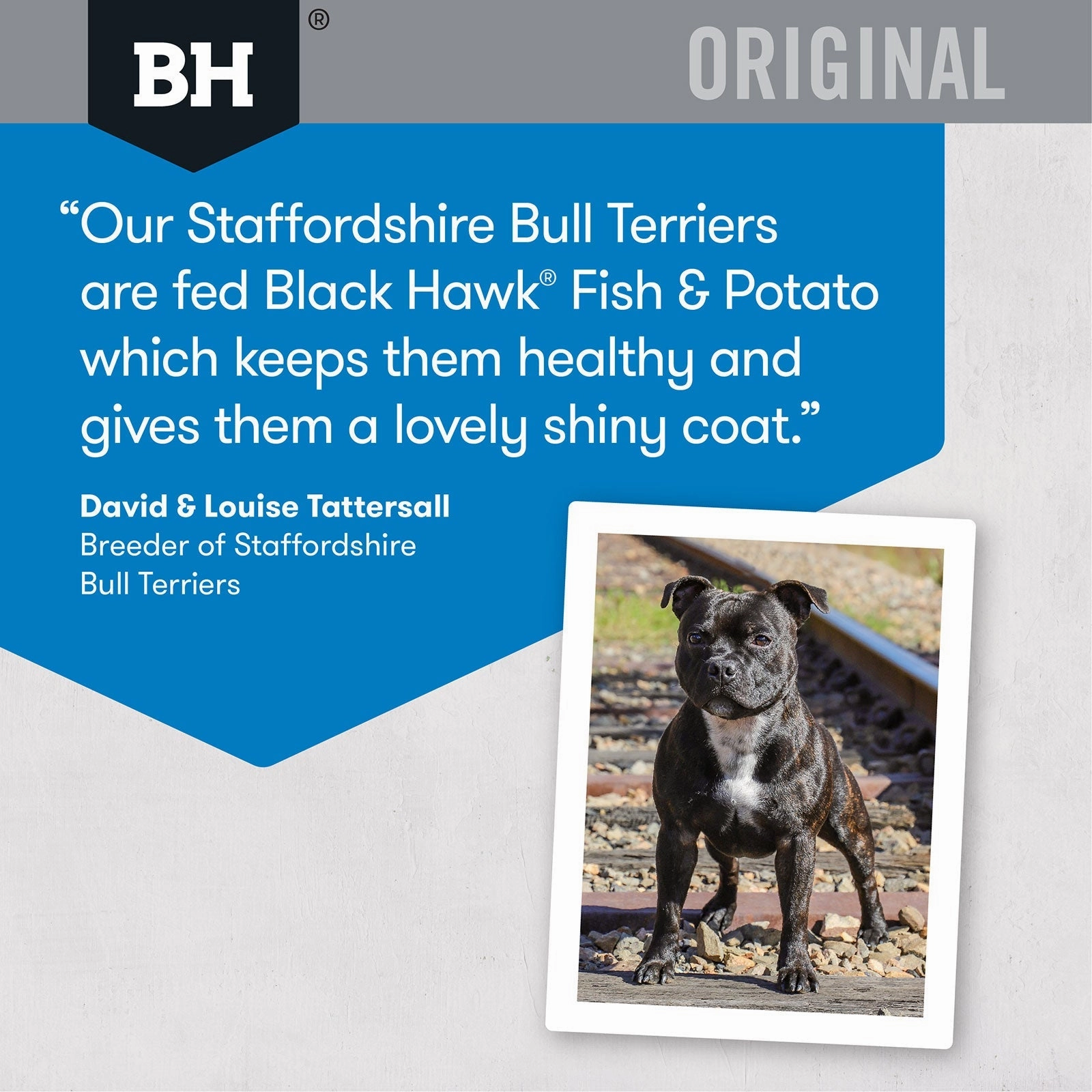 Black Hawk Dog Food Adult Fish & Potato