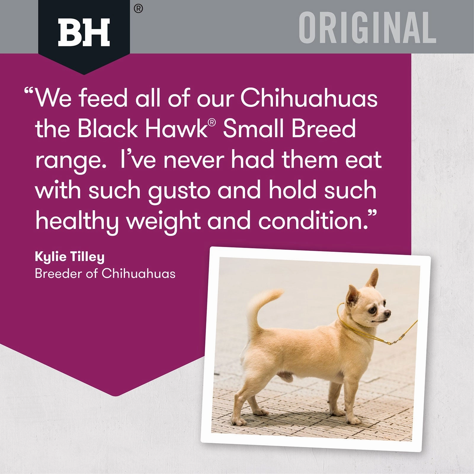 Black Hawk Dog Food Adult Small Breed Lamb & Rice