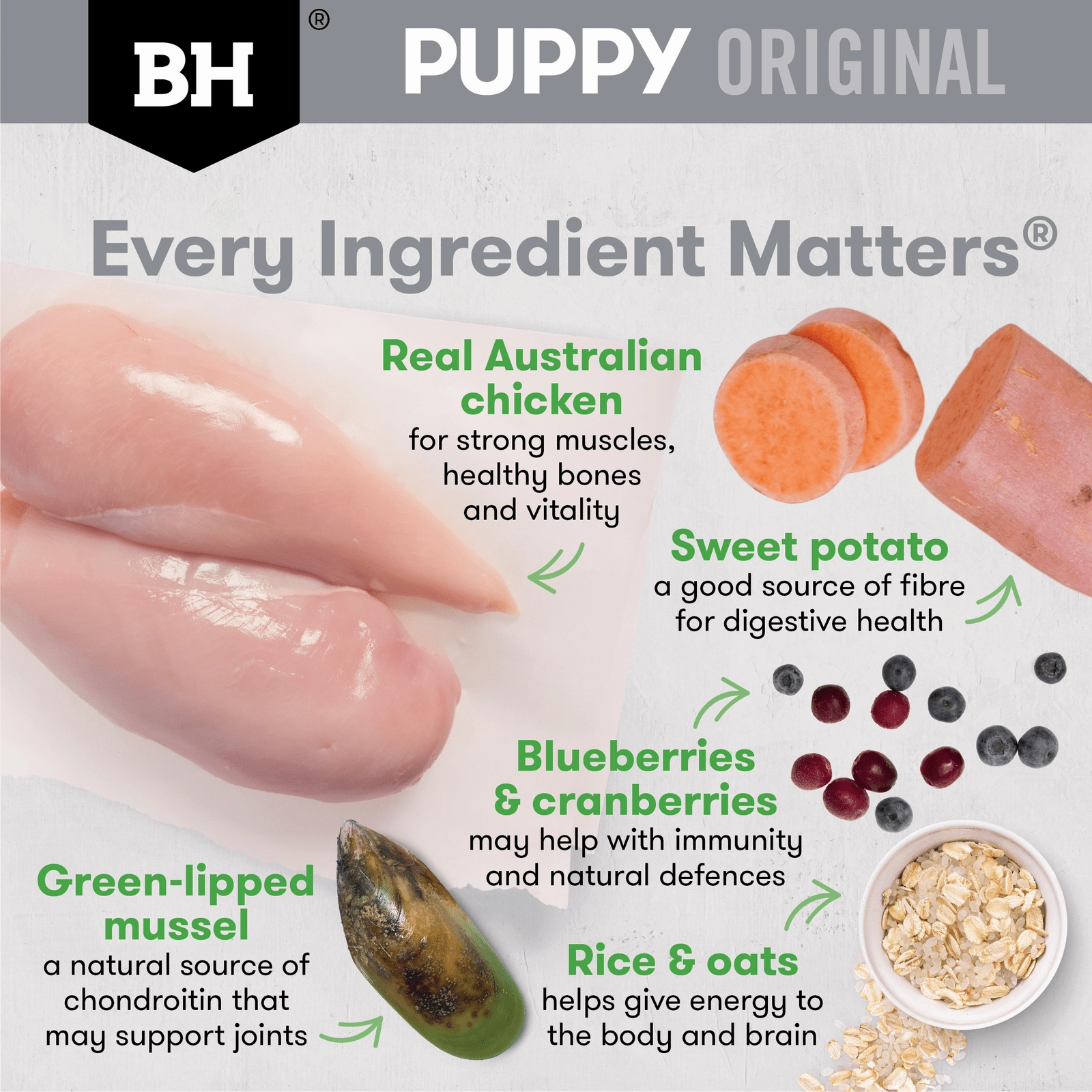Black Hawk Dog Food Puppy Large Breed Chicken & Rice