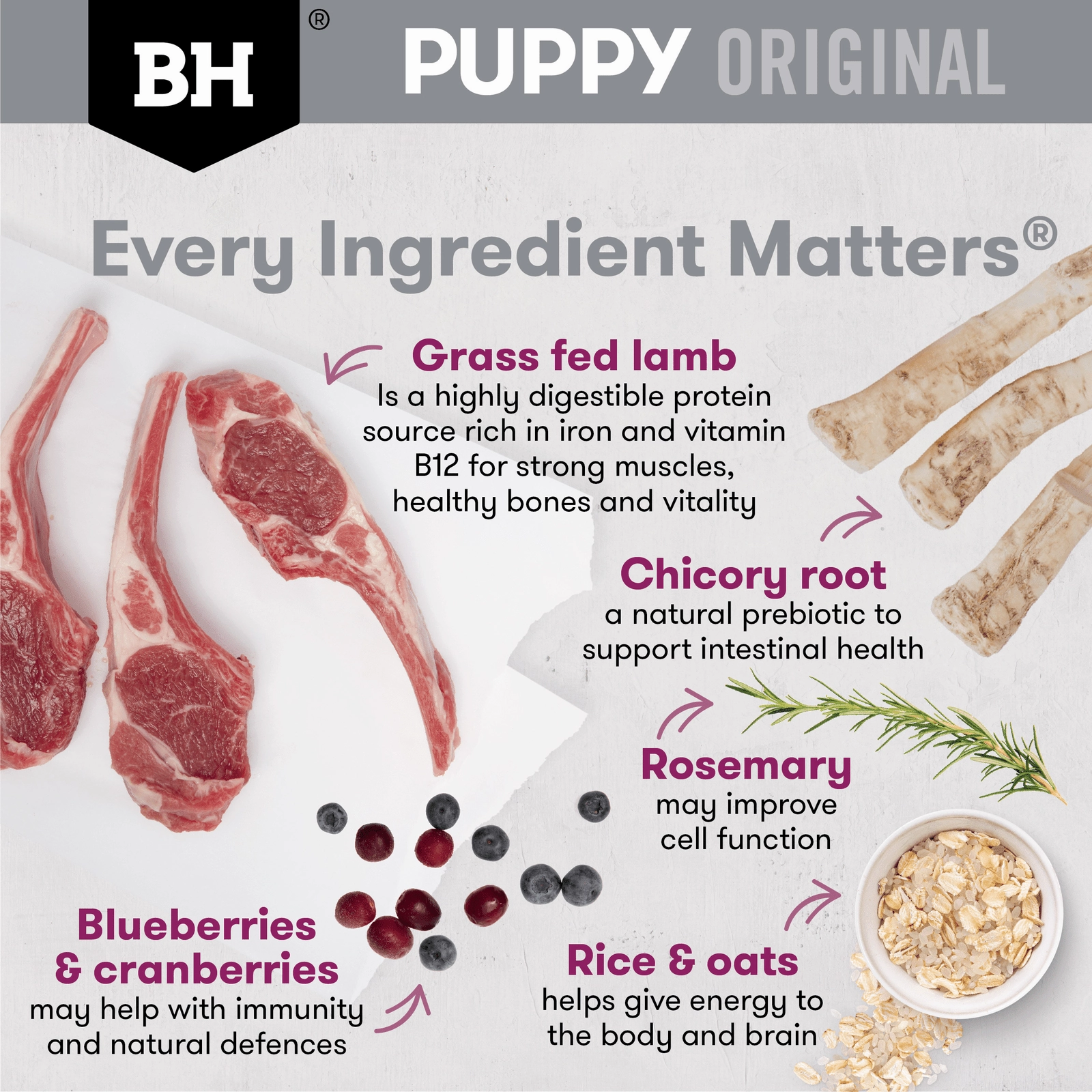 Black Hawk Dog Food Puppy Medium Breed Lamb & Rice