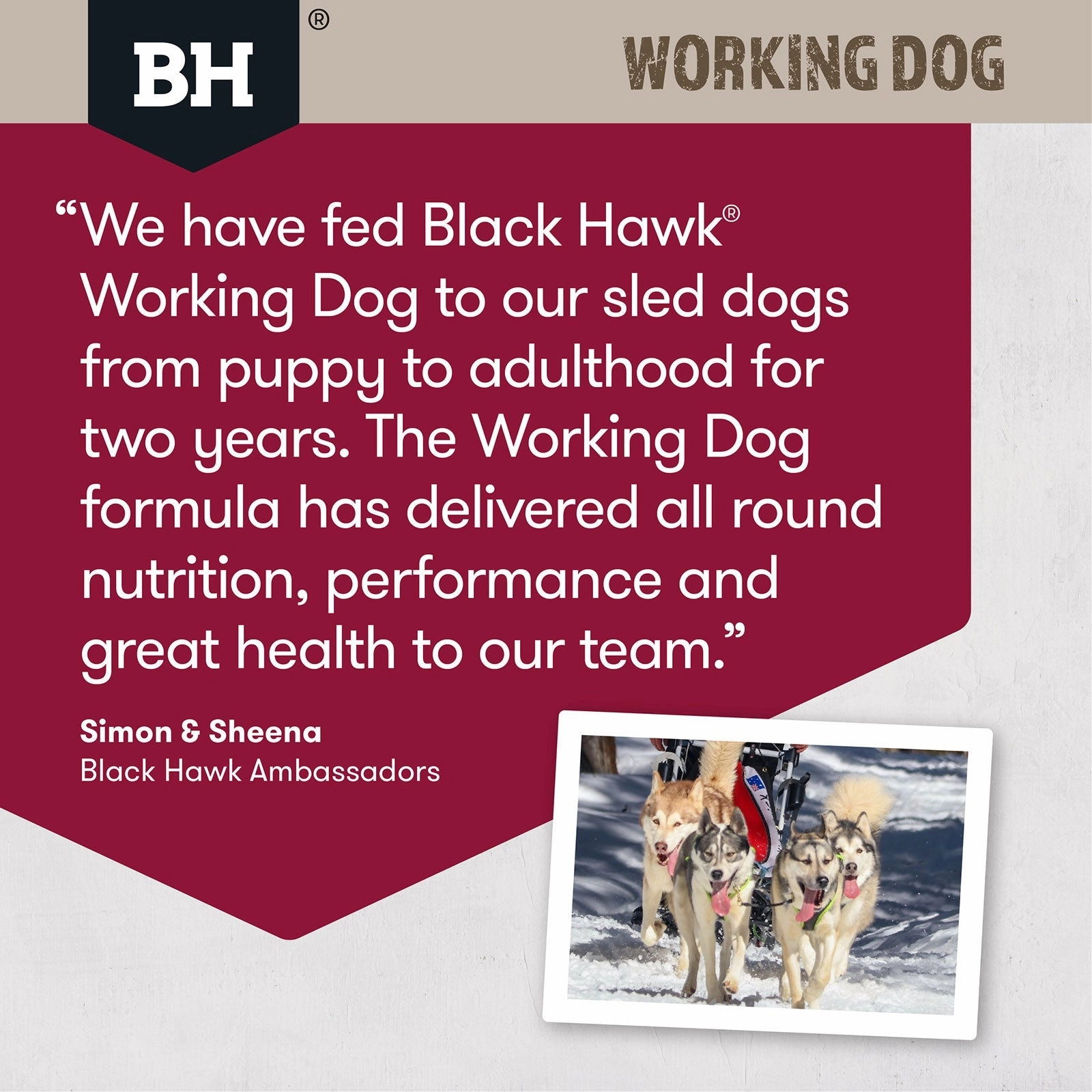 Black Hawk Dog Food Working Adult Lamb & Beef
