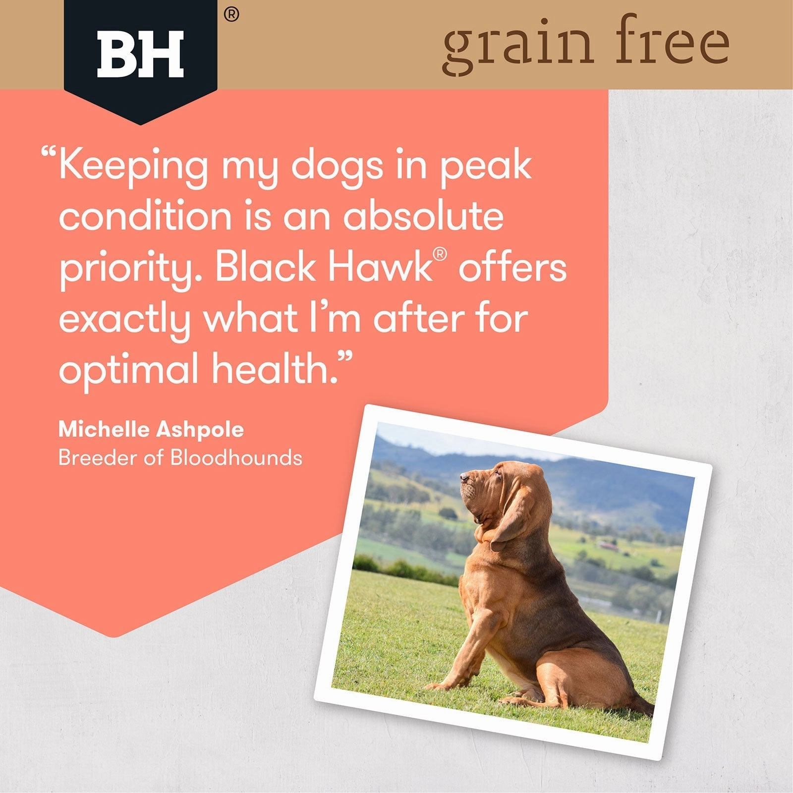 Black Hawk Grain Free Dog Food Adult Salmon