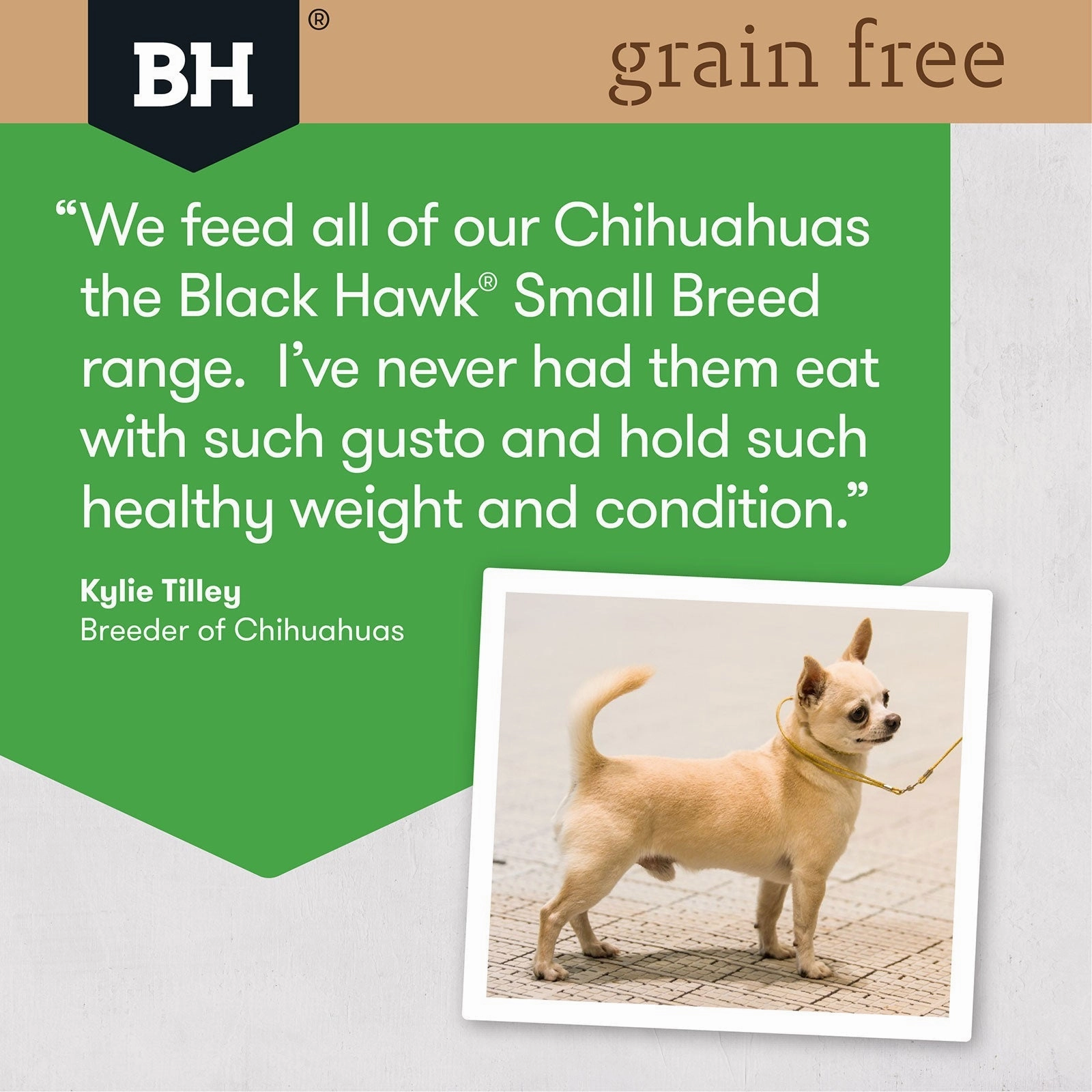 Black Hawk Grain Free Dog Food Adult Small Breed Chicken