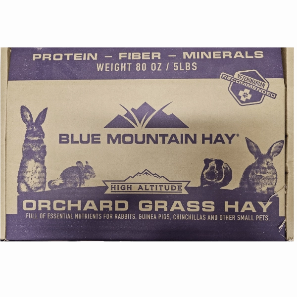 Blue Mountain Hay High-Altitude Orchard Grass Hay