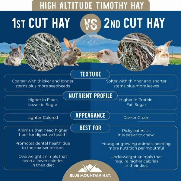 Blue Mountain Hay High-Altitude Timothy Hay (1st Cutting)