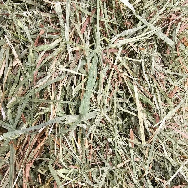 Blue Mountain Hay High-Altitude Timothy Hay (2nd Cutting)