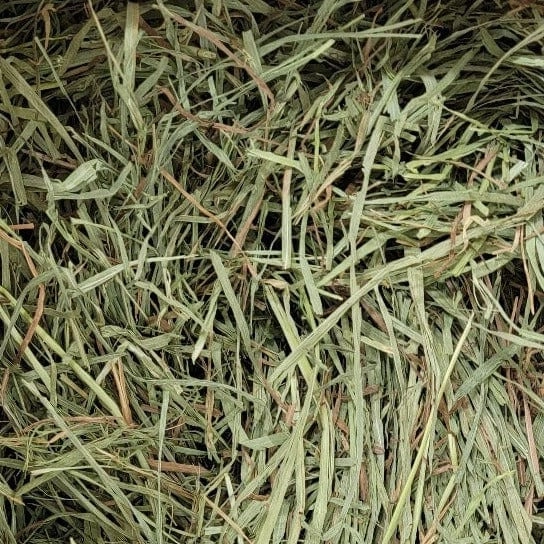 Blue Mountain Hay High-Altitude Timothy Hay (2nd Cutting)