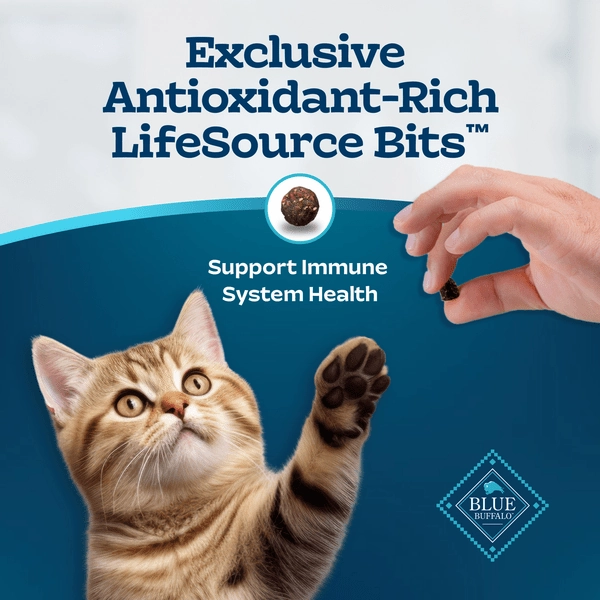 BLUE Tastefuls Healthy Growth Chicken & Brown Rice Recipe Kitten Dry Food, 7lb