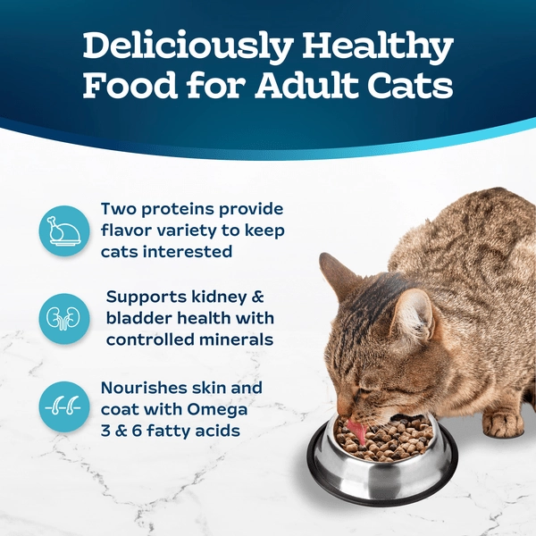 BLUE Tastefuls Multi-Protein Chicken & Turkey Cat Food Recipe Dry Cat Food, 7lb