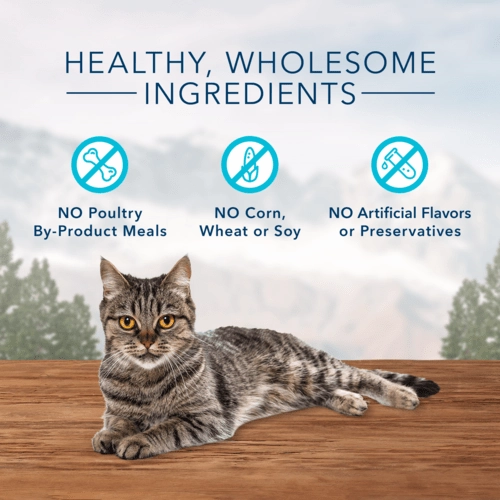 BLUE Wilderness Soft-Moist Cat Treats; Chicken & Salmon