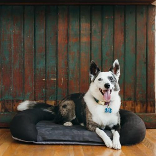 California Dreaming Memory Foam Dog Bed Alcatraz Black