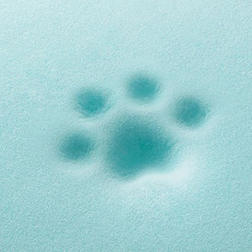 California Dreaming Memory Foam Dog Bed Alcatraz Black