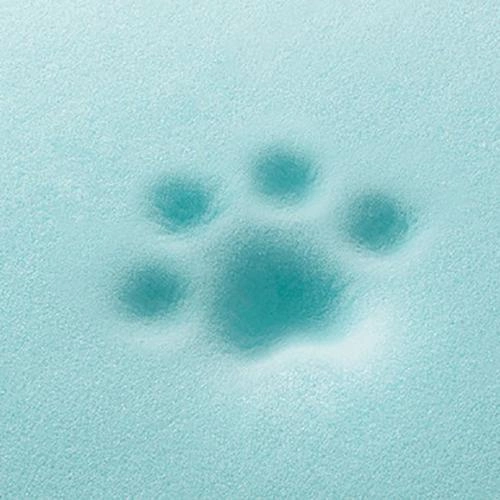 California Dreaming Memory Foam Dog Bed Fog Grey
