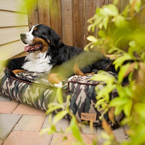 Camouflage Lounge Dog Bed Army Green Camo/Chocolate