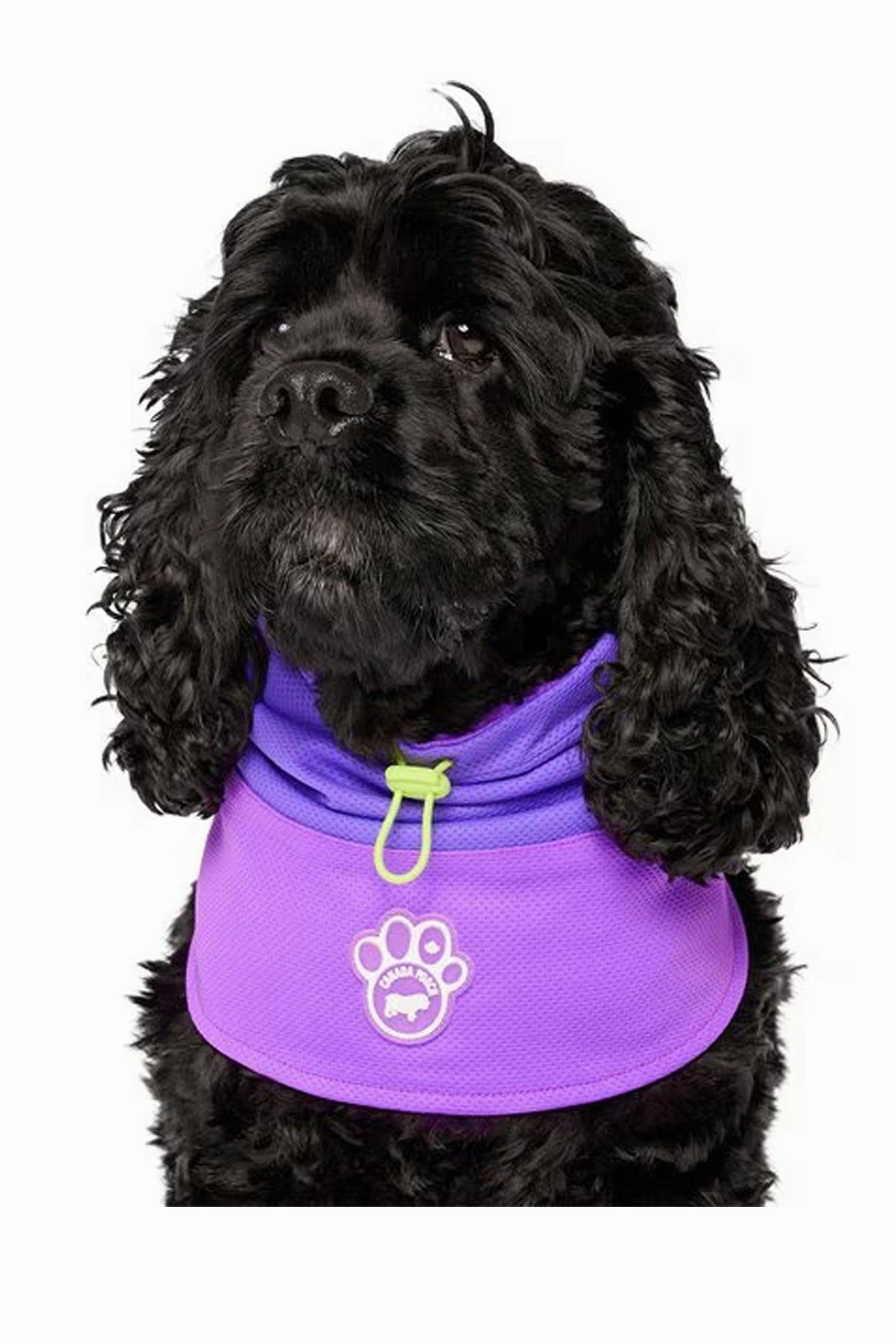 Canada Pooch Purple Max Chill Cooling Snood