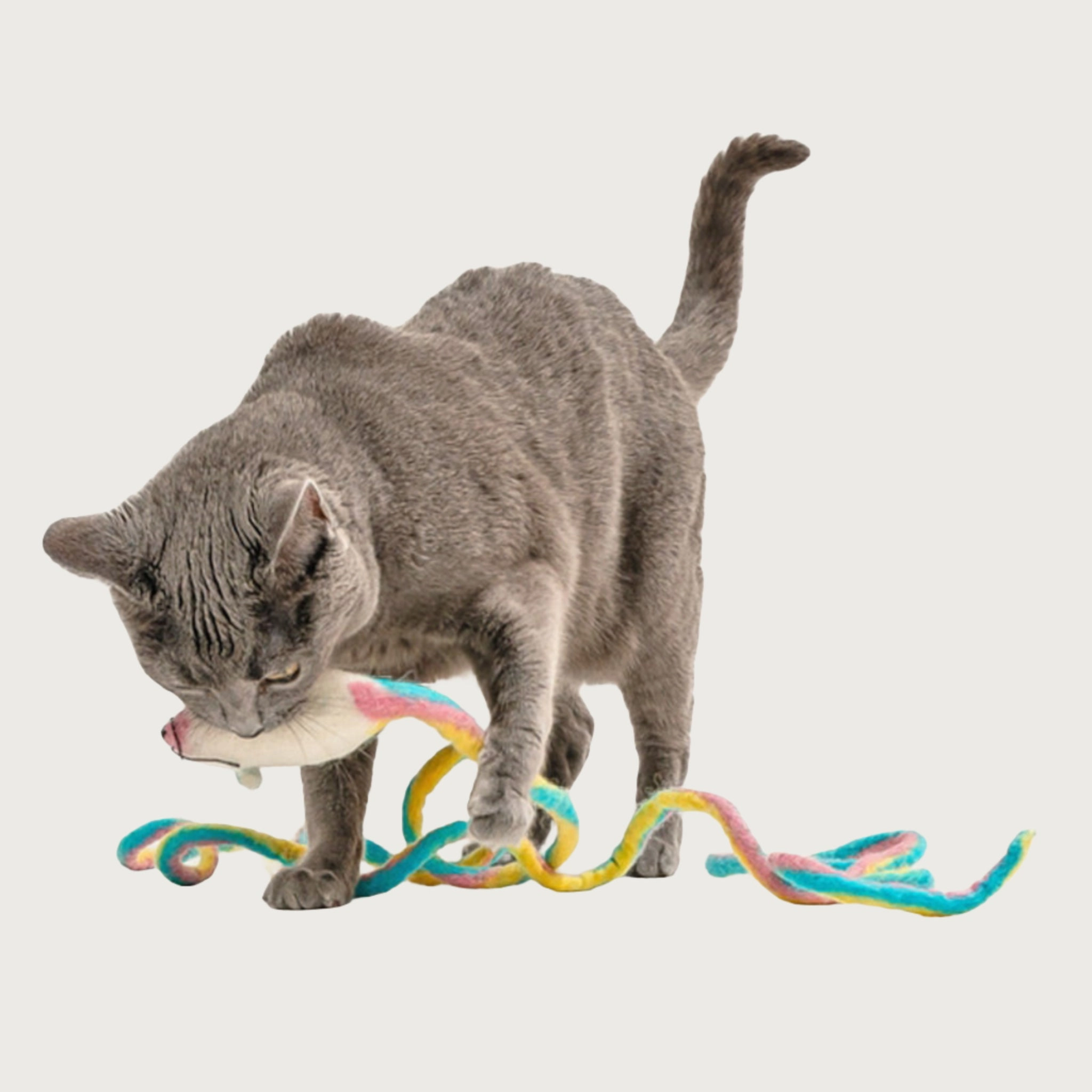 CAT IN THE BOX Wool Mouse Cat Toy