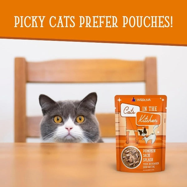 Cats in the Kitchen Pumpkin Jack Splash Pouch Cat Food