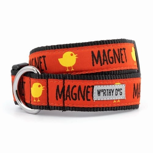 Chick Magnet Collar and Lead Collection
