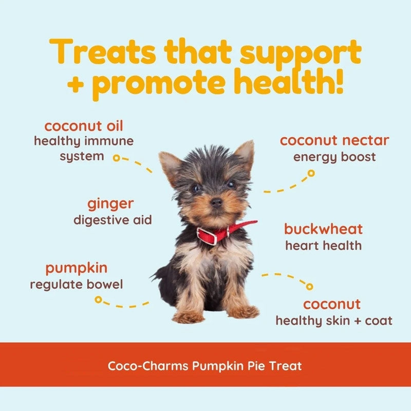 COCOTHERAPY Coco-Charms Pumpkin Pie Treats for Dogs