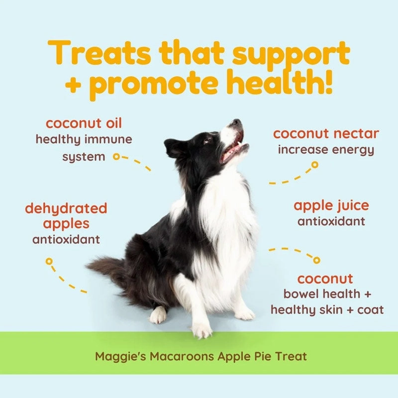 COCOTHERAPY Coconut Apple Pie Maggie's Macaroons Treats for Dogs