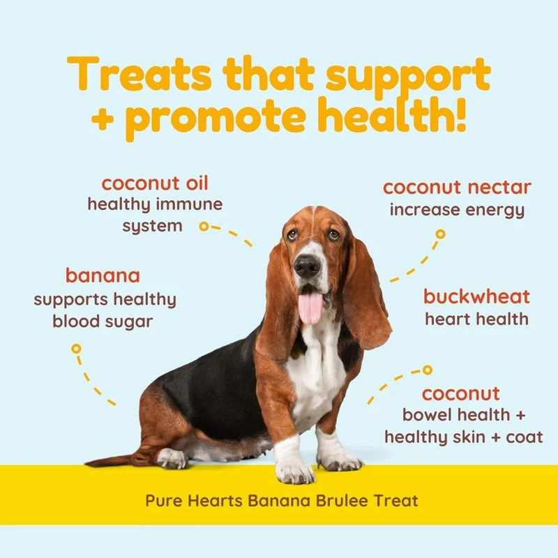 COCOTHERAPY Pure Hearts Banana Brule Treats for Dogs