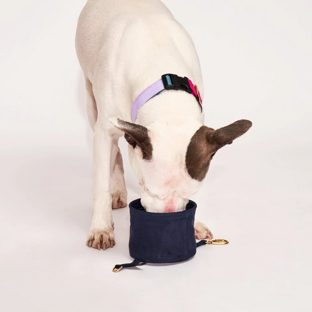 Collapsible Travel Cotton Canvas Dog Water Bowl Midnight