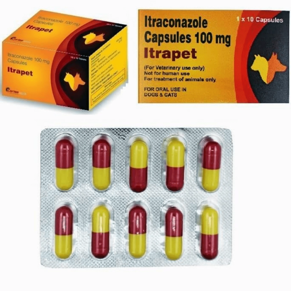 Corise Itrapet (Itraconazole) Capsules for Dogs and Cats