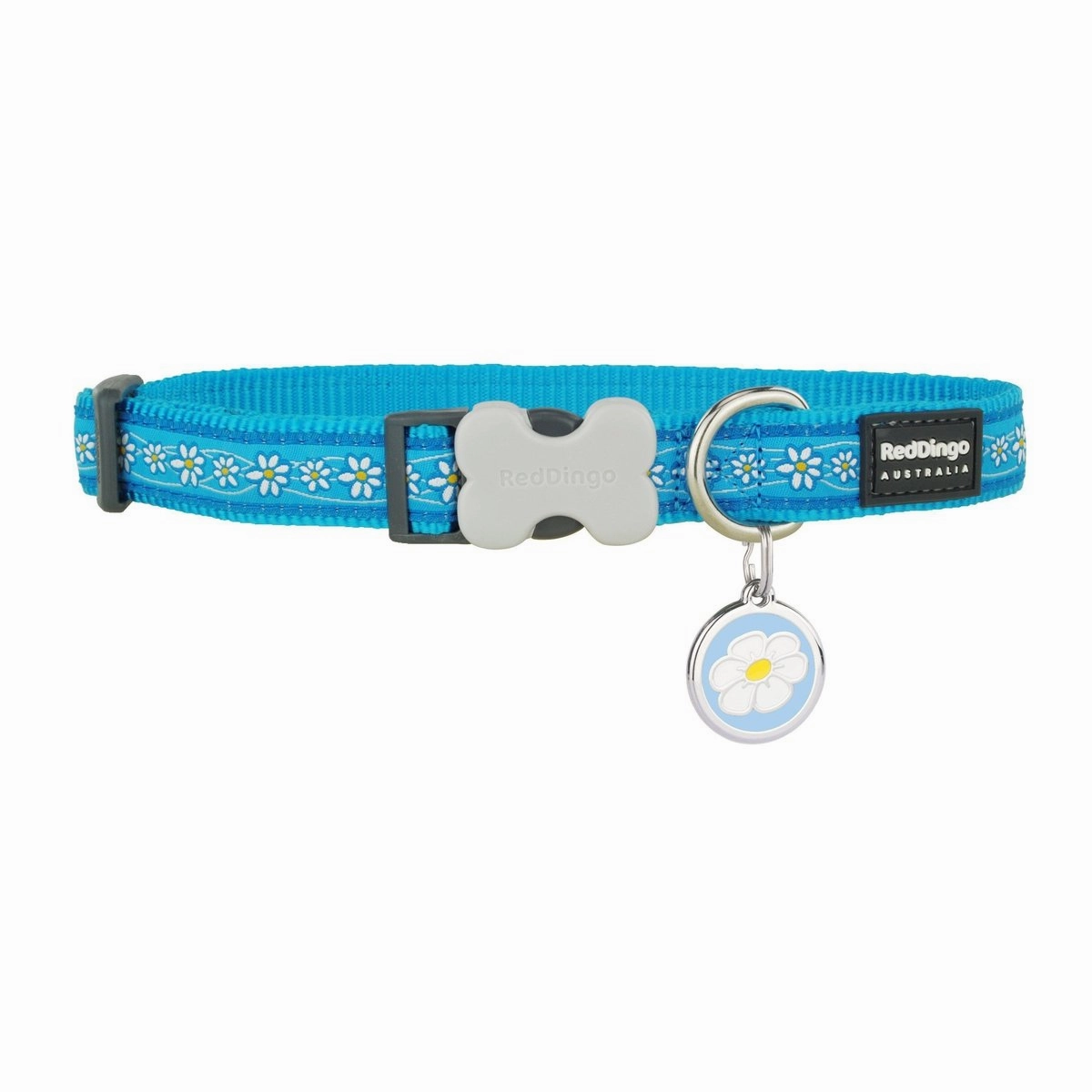 Daisy Chain Turquoise Dog Collar/Tag Set
