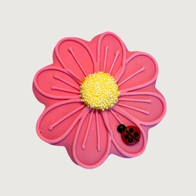 Daisy With Lady Bug Cookie