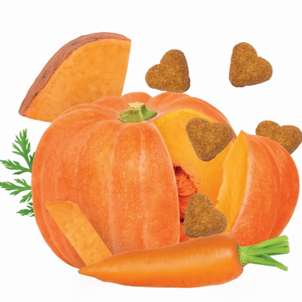Darford Grain Free Pumpkin Recipe Oven-Baked Dog Treats