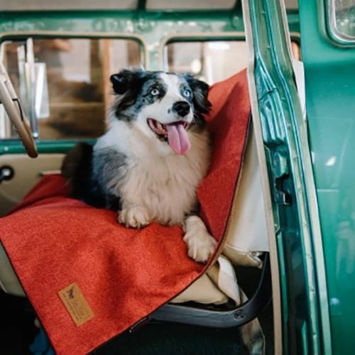 Dog Blanket Feather Papaya Twill