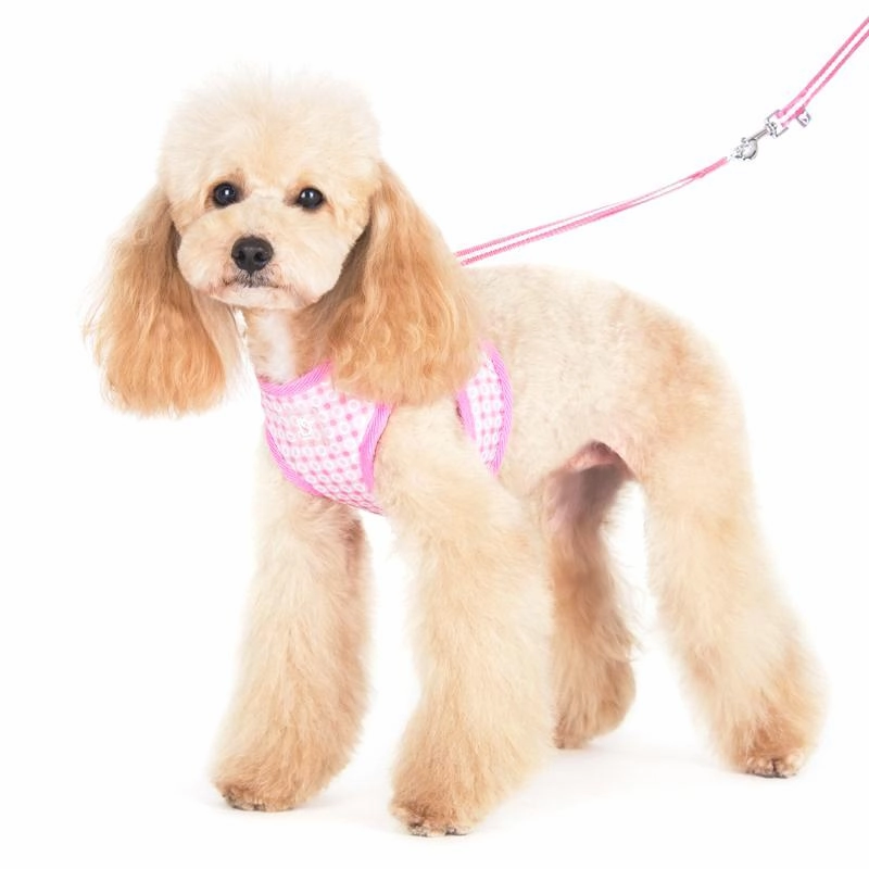 Easy Go Dog Harness Dots Pink
