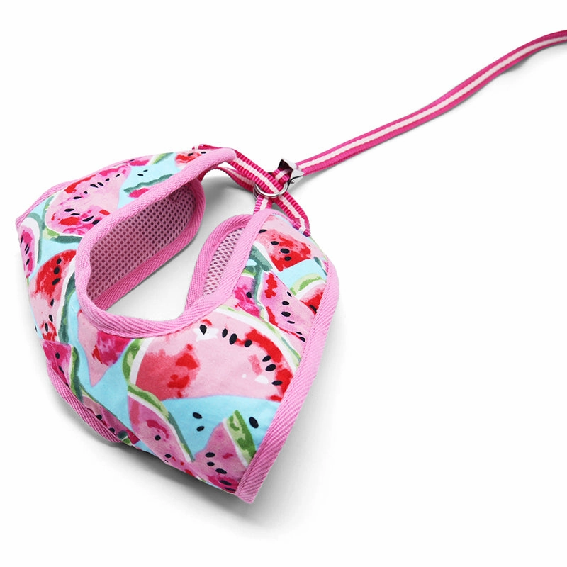 Easy Go Dog Harness Watermelon