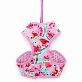 Easy Go Dog Harness Watermelon
