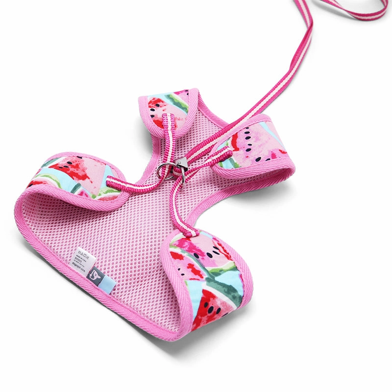 Easy Go Dog Harness Watermelon