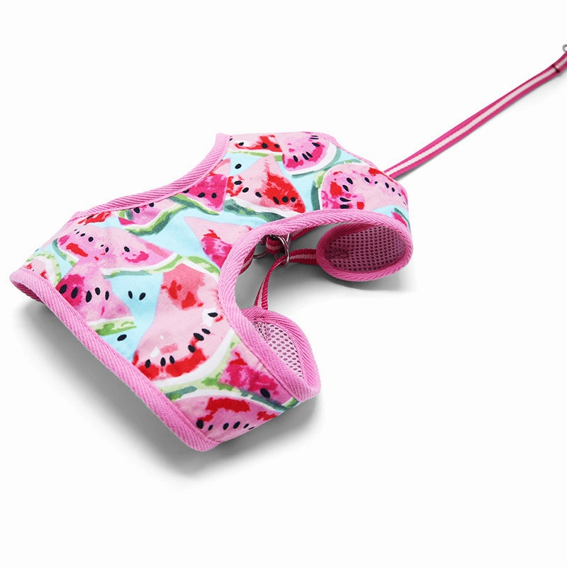 Easy Go Dog Harness Watermelon