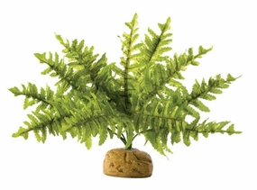 Exo Terra - Boston Fern (Small)