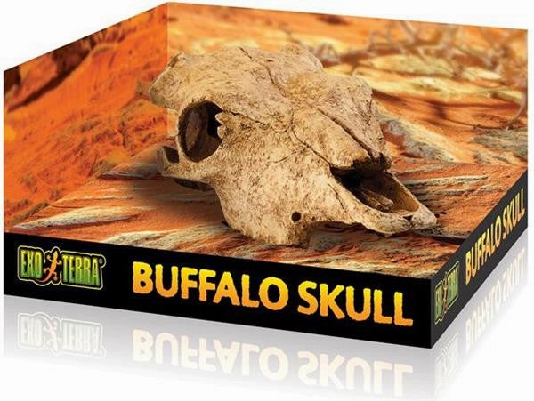 Exo Terra - Buffalo Skull (Medium)