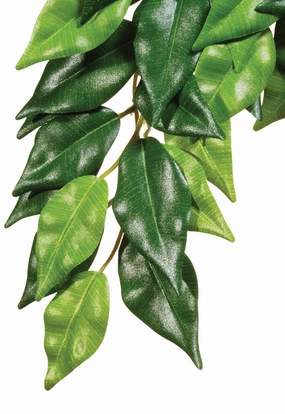 Exo Terra - Forest Ficus (Small)