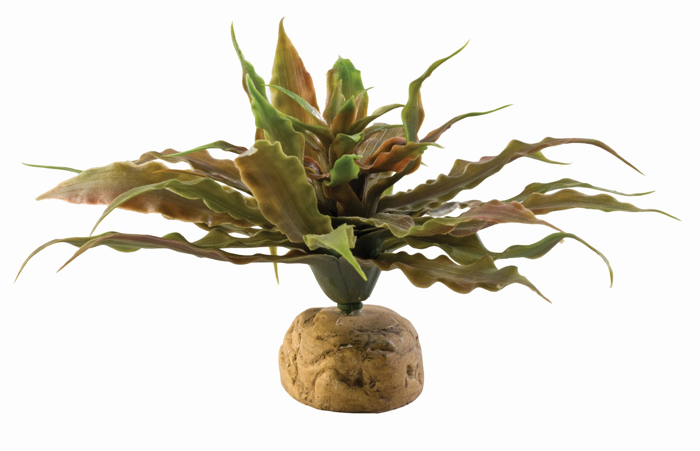 Exo Terra - Star Cactus