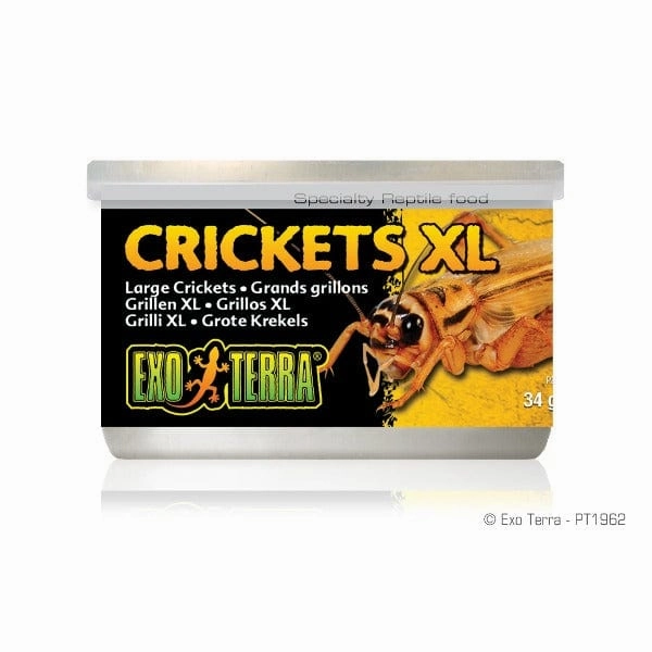 Exo Terra Crickets Canned Specialty Reptile Food