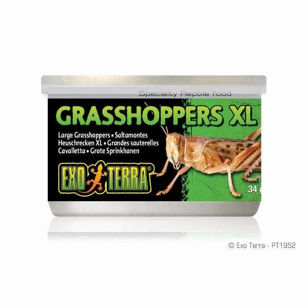 Exo Terra Grasshoppers Canned Specialty Reptile Food