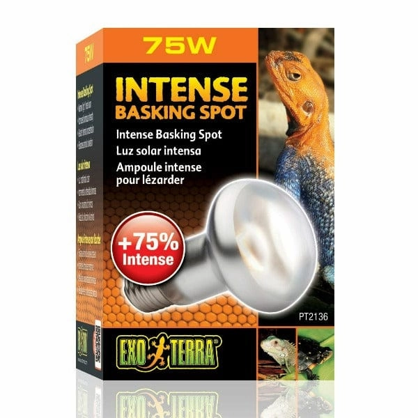 Exo Terra Intense Basking Spot Lamp