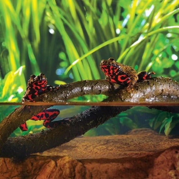 Exo Terra Jungle Vines for Reptiles