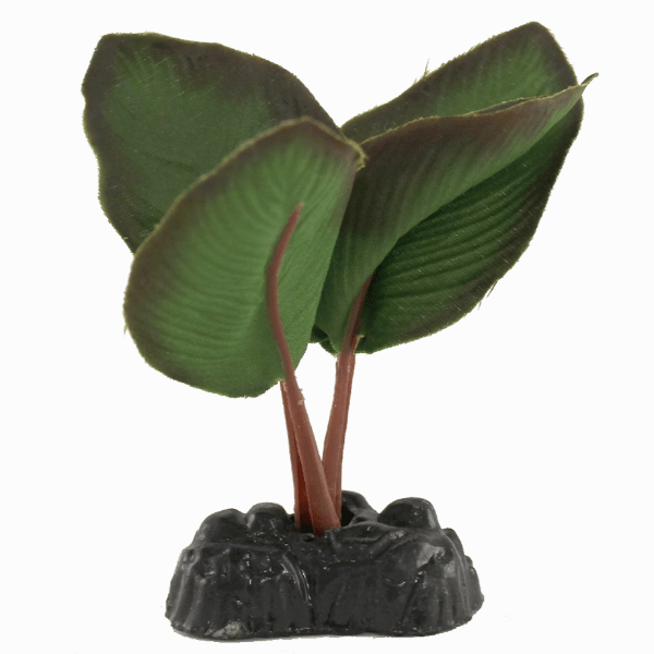 Fish Gear Anubias Silk Betta Plant (4")