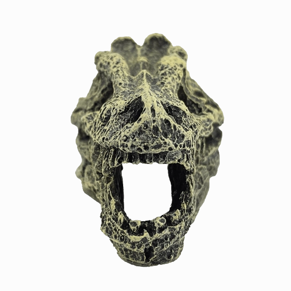 Fish Gear Dino Skull Betta Ornament