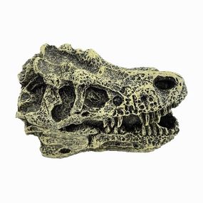 Fish Gear Dino Skull Betta Ornament